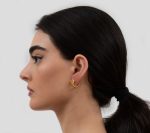 Серьги с головами льва — изображение 2