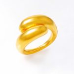 Ring with the Wound Decorations