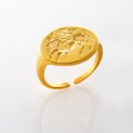 Ring with the Representation of Rider
