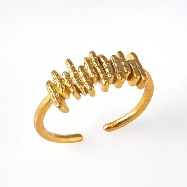 Ring with Ornaments