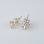 Earrings with Lion Heads