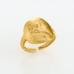 Zodiac Signet Ring “Aquarius” (Water Bearer)
